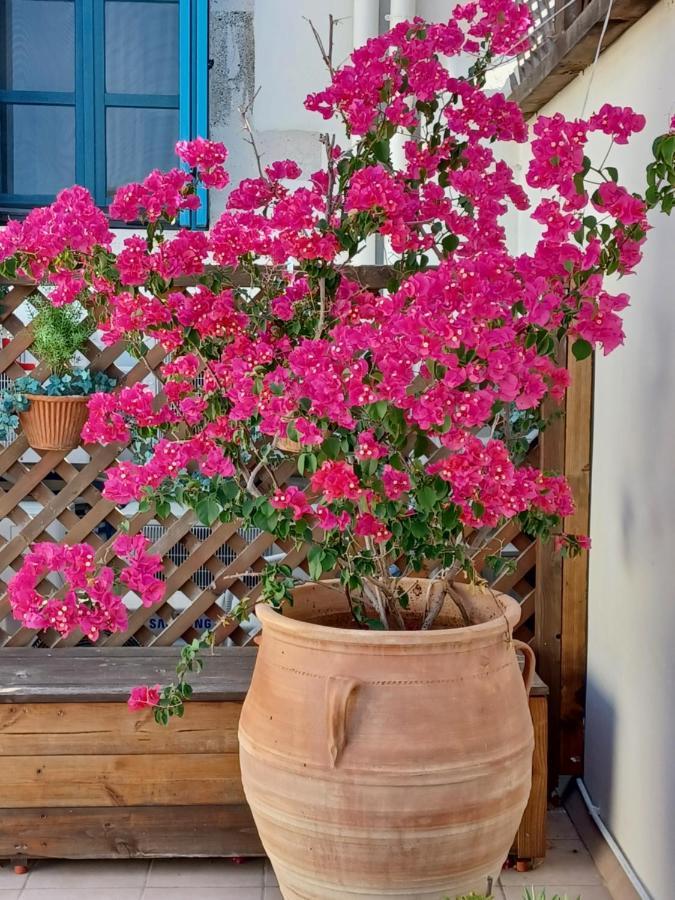 Villa Aposperitis Πάνορμος Εξωτερικό φωτογραφία