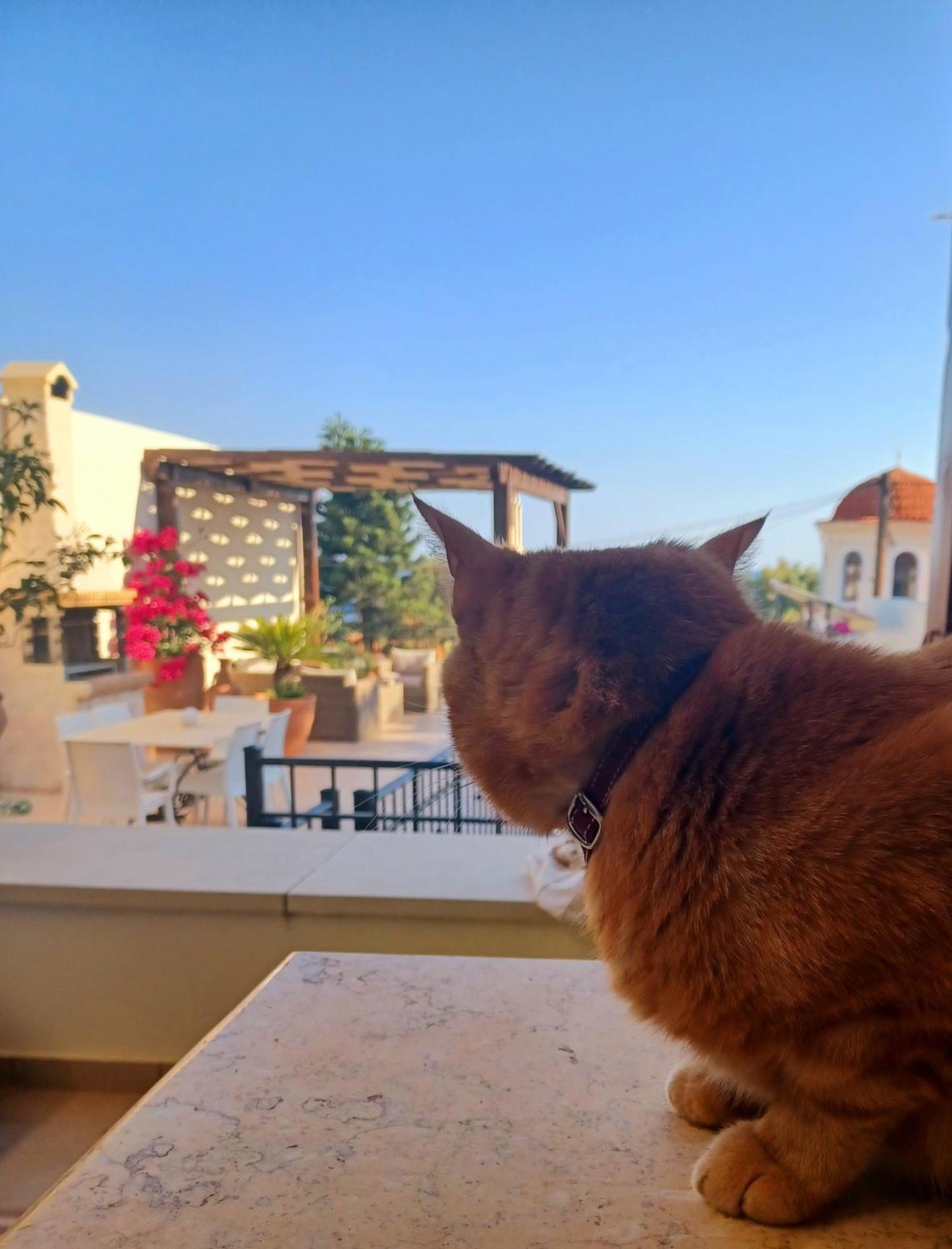 Villa Aposperitis Πάνορμος Εξωτερικό φωτογραφία